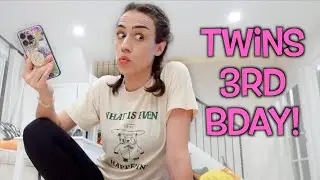 Planning The Twins 3rd Birthday!