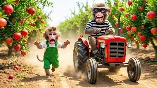 Monkey NaNa&rsquo;s Pomegranate Harvest Turns INSANE 😱 &mdash; One Thief Sparks Total Farm Chaos! 🚨