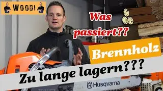 Brennholz zu lange lagern - Was passiert? #Brennholz #kaminholz