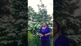 15 year growth of FREE tree from Arbor Day Foundation