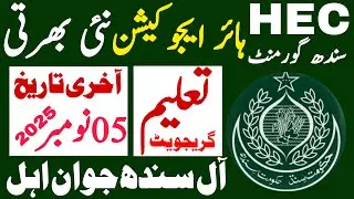 Sindh Goverment Higher Education Latest Jobs 2025 | Sindh Govt Jobs | Technical Jobs Info 1.0