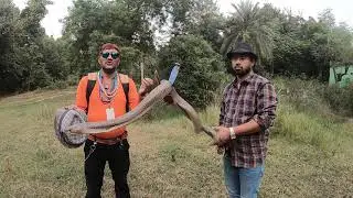 Bapi da के  साथ Snake Rescue करने का मजा ही कुछ अलग है। Snake Rescue Team Ghomo and Panchet Dam