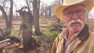 Working in Wild Cow Country
