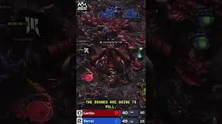 Serral Shows True Joy After Victory