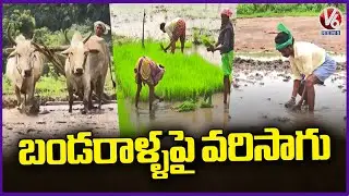 Gundala Adivasis Transforms 100 Acres of Stone land into Fertile Farmland  Adilabad | V6 News