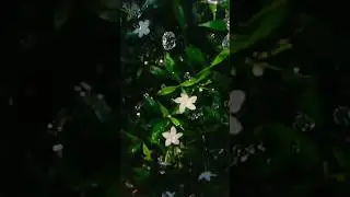 Wait for the fake rain 🌧️ | Rain video ideas #shorts