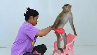 Little Girl Luna Stand On Chair Wearing Clothes