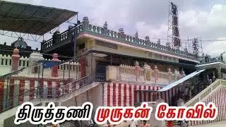 thiruthani murugan temple live today | thiruthani murugan temple | vlog