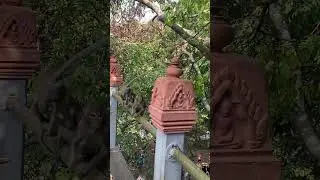 Baby Monkey YoYo, Adorable Petty Monkeys, Funny monkey KaKo, Monkey BiBi, Primative monkey | EP03