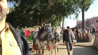 Roy Awwad In Beautiful 🇲🇦❤️Marrakech Old Town💚🇲🇦Morocco🇲🇦