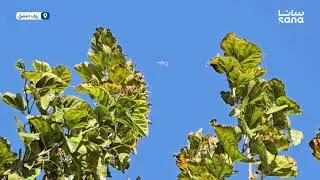 Israeli drone flying over Beit Jinn, Damascus Countryside