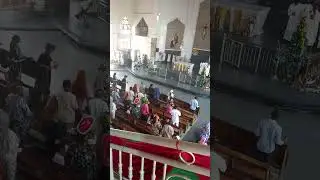Traditional Church #video #online #catholic #viral