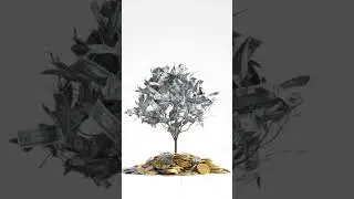 8th wonder of the world #compounding #youtubeshorts #finance #einstein #8thwonder