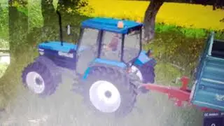 La jeune souche