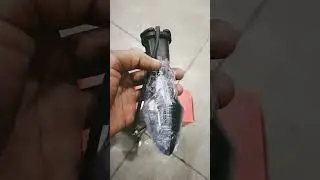 Hero Glamour bike flexible indicator