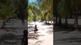 Zanzibar White sand Beaches and Palm Trees