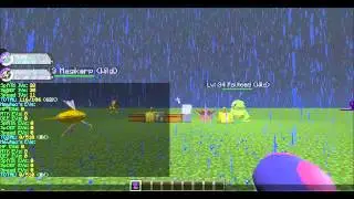 Minecraft Pixelmon Tutorials-Natures/EVs/IVs