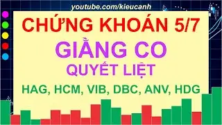 Nhận Định Cổ Phiếu HAG, HCM, VIB, DBC, ANV, HDG - Chứng Kho&aacute;n H&ocirc;m Nay (5/7/22) [Kiều Canh]