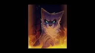 Warrior cat edit // ThunderClan