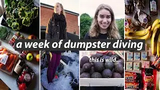 I WENT DUMPSTER DIVING FOR A WEEK // this is what happened