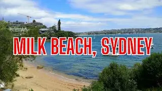 Sydney's Hidden Gem: Milk Beach Sydney | Sydney Beaches | Places to Visit in Sydney