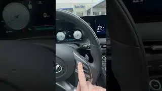 2024 Hyundai Palisade   Reset Oil Change