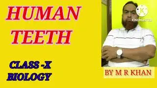 Human teeth Chapter -06 Class 10 science biology Life Processes: Nutrition