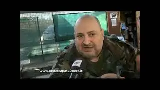 Oasi Felina Pianoro - Servizio TRC TV