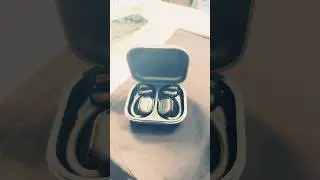 Truefree 01 Wireless Earbuds: Best Budget Buy?