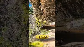 What if stone isn&rsquo;t as still as we think?