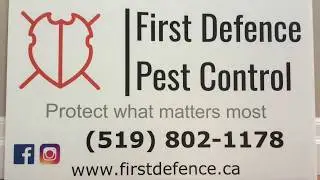Ant Solutions