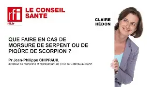 Que faire en cas de morsure de serpent ou piqûre de scorpion ?
