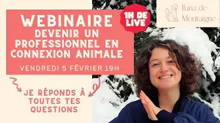 La formation professionnelle en connexion animale : Une opportunit&eacute; pour cr&eacute;er un nouveau monde