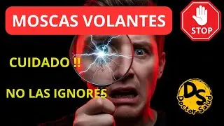 🚨🚨MOSCAS VOLANTES :  ¿cuándo es peligroso? , NO las ignores.