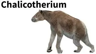 My Favorite Chalicothere: Chalicotherium