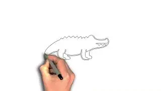 Easy to draw Alligator drawing image step by step
