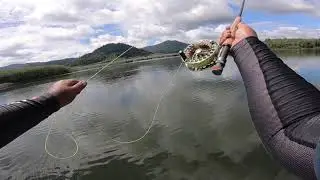 Fly fishing Toman Tasik Beris