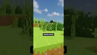 Mini Plugin Showcase | DriveBackupV2 - Minecraft Plugin #minecraftshorts #minecraftplugins