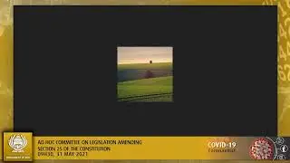 Ad Hoc Committee on Legislation Amending Section 25 of the Constitution, 31 May 2021