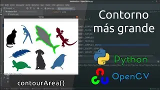 Encontrar el contorno más grande con contourArea() | Python - openCV