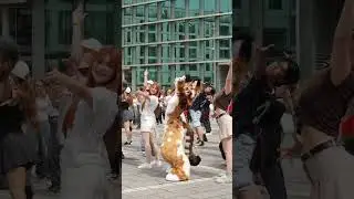 【Fursuit Dance】Luxxy - BLACKPINK 'KILL THIS LOVE'