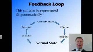 3 Stimulus-Response