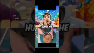 Who Will Save MrBeast From Terminator In Wrong Zoom