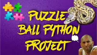 Puzzle Ball Python Project