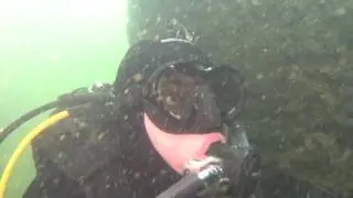 Waterman Dive Center Duik 1 IDD Bergmeer Specialty