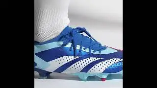 Бутсы adidas Predator Accuracy.1 L SG IF2291