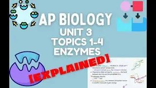 AP Biology Unit 3 Topics 1-4 Enzymes Explained
