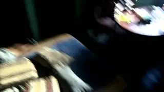 patazo