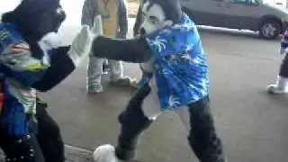 FCN 2010 - Furball Balboa