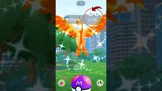 Finally! got ✨ Shiny Galarian Moltres in Pokemon GO.